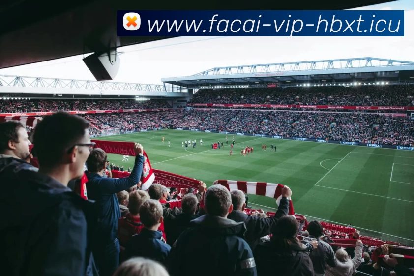 爱游戏体育注册品牌故事