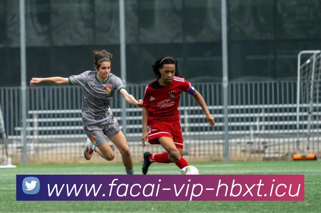 爱游戏体育注册服务体系